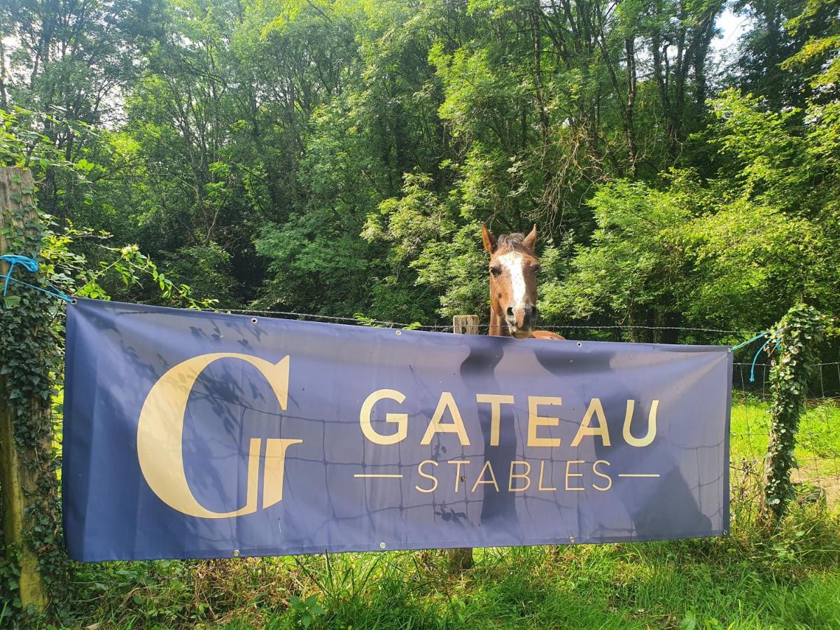 Ferme Equestre & Chambres D'Hotes Gateau Stables Proche Guedelon Saint-Amand-en-Puisaye Eksteriør bilde