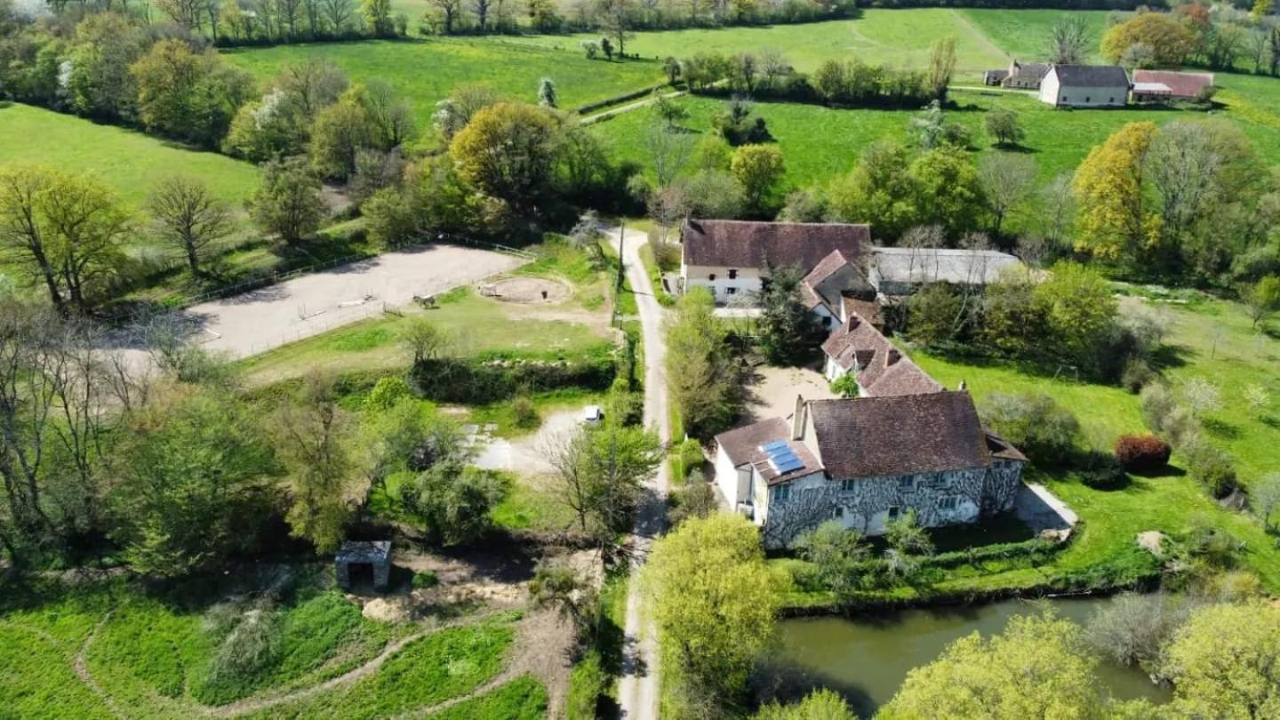 Ferme Equestre & Chambres D'Hotes Gateau Stables Proche Guedelon Saint-Amand-en-Puisaye Eksteriør bilde